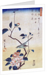 Tsubaki ni Uguisu (Camellia and Bush Warbler) by Utagawa Hiroshige