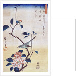Tsubaki ni Uguisu (Camellia and Bush Warbler) by Utagawa Hiroshige