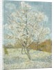 The Pink Peach Tree by Vincent Van Gogh