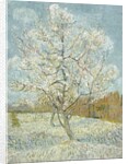 The Pink Peach Tree by Vincent Van Gogh