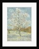 The Pink Peach Tree by Vincent Van Gogh