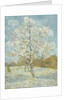 The Pink Peach Tree by Vincent Van Gogh