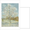 The Pink Peach Tree by Vincent Van Gogh