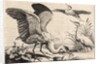 Three herons by Wenceslas Hollar