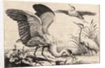 Three herons by Wenceslas Hollar