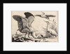 Three herons by Wenceslas Hollar