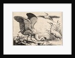 Three herons by Wenceslas Hollar