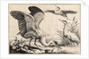 Three herons by Wenceslas Hollar