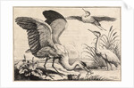 Three herons by Wenceslas Hollar