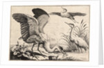 Three herons by Wenceslas Hollar