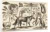 A Wolf, with a Sheep, a Dog and various flowers and insects by Wenceslas Hollar
