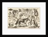 A Wolf, with a Sheep, a Dog and various flowers and insects by Wenceslas Hollar