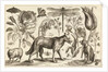 A Wolf, with a Sheep, a Dog and various flowers and insects by Wenceslas Hollar