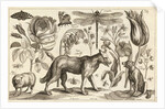 A Wolf, with a Sheep, a Dog and various flowers and insects by Wenceslas Hollar