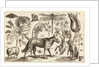 A Wolf, with a Sheep, a Dog and various flowers and insects by Wenceslas Hollar