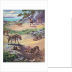 Jackals stealing food from cavemen by Anonymous