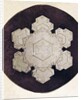 Study of a snowflake by Anonymous