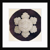 Study of a snowflake by Anonymous