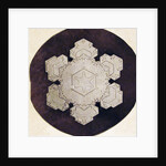 Study of a snowflake by Anonymous