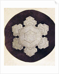 Study of a snowflake by Anonymous