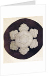 Study of a snowflake by Anonymous