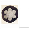 Study of a snowflake by Anonymous