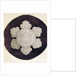 Study of a snowflake by Anonymous