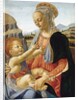 Virgin and Child by Andrea del Verrocchio