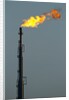 Oil Refinery Gas Flare at Aruba by Anonymous