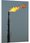 Oil Refinery Gas Flare at Aruba by Anonymous