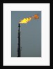 Oil Refinery Gas Flare at Aruba by Anonymous