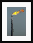 Oil Refinery Gas Flare at Aruba by Anonymous