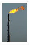 Oil Refinery Gas Flare at Aruba by Anonymous