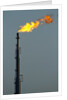 Oil Refinery Gas Flare at Aruba by Anonymous