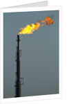 Oil Refinery Gas Flare at Aruba by Anonymous