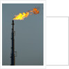 Oil Refinery Gas Flare at Aruba by Anonymous
