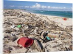 Trash-covered beach in Aruba by Anonymous