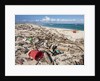 Trash-covered beach in Aruba by Anonymous