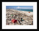 Trash-covered beach in Aruba by Anonymous
