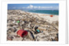 Trash-covered beach in Aruba by Anonymous