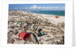 Trash-covered beach in Aruba by Anonymous