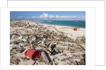 Trash-covered beach in Aruba by Anonymous