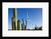 Wind Turbines and Cactus at Aruba by Anonymous