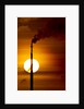 Oil Refinery Gas Flare, Aruba by Anonymous