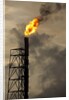 Oil Refinery at Curacao by Anonymous