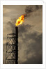 Oil Refinery at Curacao by Anonymous