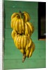 Bananas at a Fruit Stand in Dominican Republic by Anonymous
