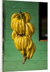 Bananas at a Fruit Stand in Dominican Republic by Anonymous