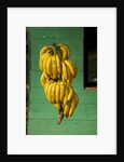 Bananas at a Fruit Stand in Dominican Republic by Anonymous
