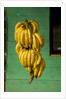 Bananas at a Fruit Stand in Dominican Republic by Anonymous
